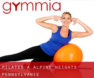 Pilates à Alpine Heights (Pennsylvanie)