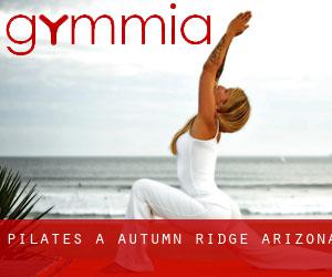 Pilates à Autumn Ridge (Arizona)