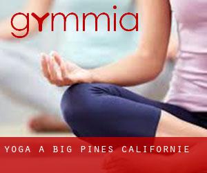 Yoga à Big Pines (Californie)