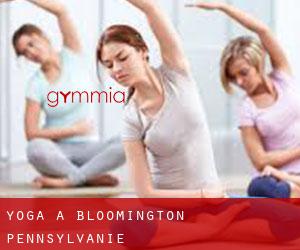 Yoga à Bloomington (Pennsylvanie)