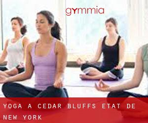 Yoga à Cedar Bluffs (État de New York)