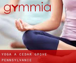 Yoga à Cedar Grove (Pennsylvanie)