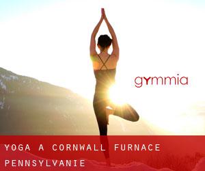 Yoga à Cornwall Furnace (Pennsylvanie)