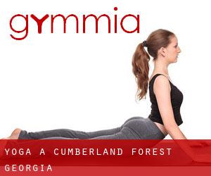 Yoga à Cumberland Forest (Georgia)