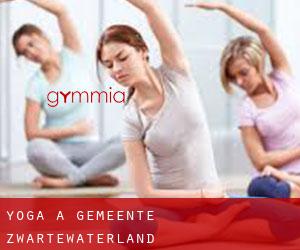 Yoga à Gemeente Zwartewaterland