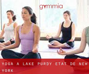 Yoga à Lake Purdy (État de New York)