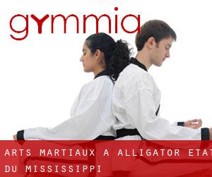 Arts Martiaux à Alligator (État du Mississippi)
