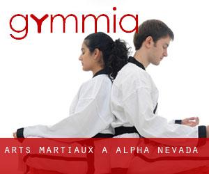 Arts Martiaux à Alpha (Nevada)