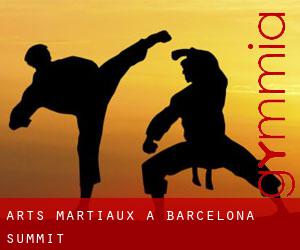 Arts Martiaux à Barcelona Summit