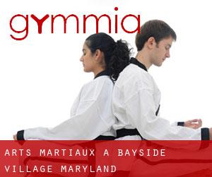 Arts Martiaux à Bayside Village (Maryland)