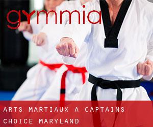 Arts Martiaux à Captains Choice (Maryland)