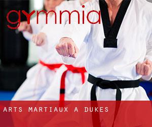 Arts Martiaux à Dukes Arts Martiaux à Dukes