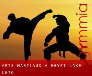 Arts Martiaux à Egypt Lake-Leto