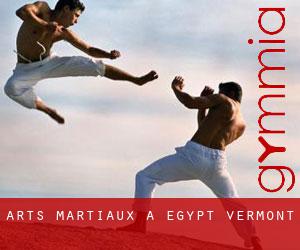 Arts Martiaux à Egypt (Vermont)