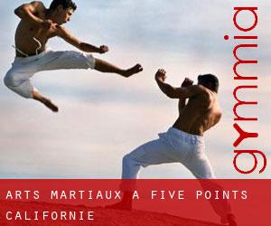 Arts Martiaux à Five Points (Californie)