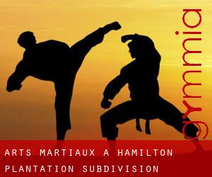 Arts Martiaux à Hamilton Plantation Subdivision