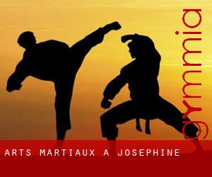 Arts Martiaux à Josephine