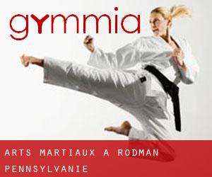 Arts Martiaux à Rodman (Pennsylvanie)