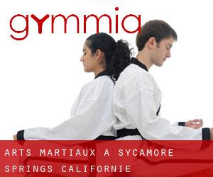 Arts Martiaux à Sycamore Springs (Californie)