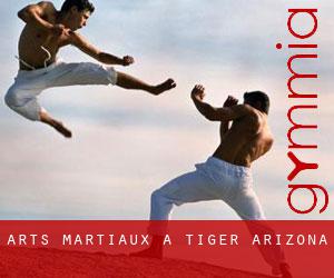 Arts Martiaux à Tiger (Arizona)