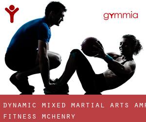 Dynamic Mixed Martial Arts & Fitness (McHenry)