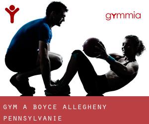 gym à Boyce (Allegheny, Pennsylvanie)