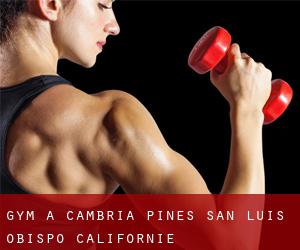 gym à Cambria Pines (San Luis Obispo, Californie)
