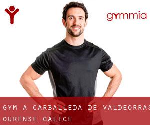 gym à Carballeda de Valdeorras (Ourense, Galice)