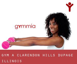 gym à Clarendon Hills (DuPage, Illinois)