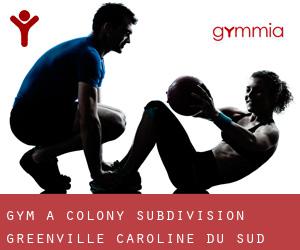 gym à Colony Subdivision (Greenville, Caroline du Sud)