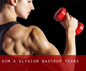 gym à Elysium (Bastrop, Texas)