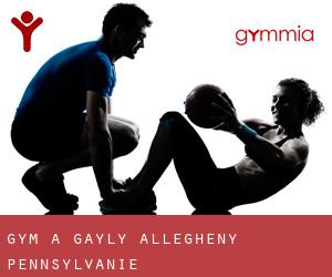 gym à Gayly (Allegheny, Pennsylvanie)