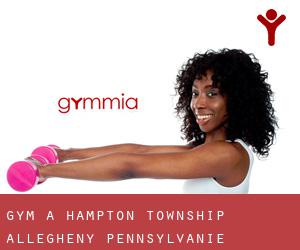 gym à Hampton Township (Allegheny, Pennsylvanie)