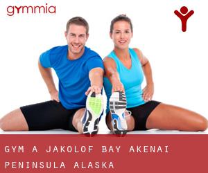 gym à Jakolof Bay (AKenai Peninsula, Alaska)