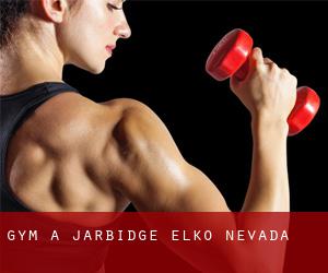 gym à Jarbidge (Elko, Nevada)