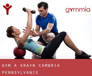 gym à Krayn (Cambria, Pennsylvanie)