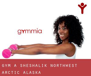 gym à Sheshalik (Northwest Arctic, Alaska)