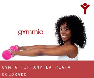 gym à Tiffany (La Plata, Colorado)