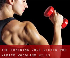 The Training Zone Nickys Pro Karate (Woodland Hills)