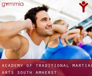 Academy of Traditional Martial Arts (South Amherst)