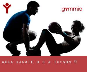Akka Karate U S A (Tucson) #9