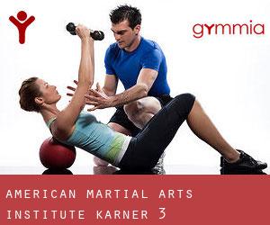 American Martial Arts Institute (Karner) #3