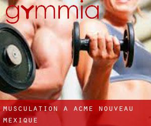 Musculation à Acme (Nouveau-Mexique)