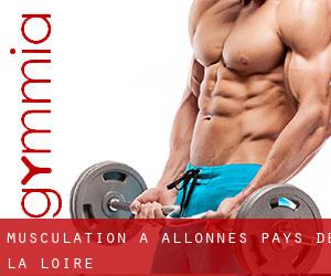 Musculation à Allonnes (Pays de la Loire)