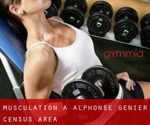 Musculation à Alphonse-Génier (census area)