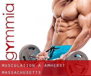 Musculation à Amherst (Massachusetts)