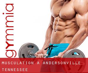 Musculation à Andersonville (Tennessee)