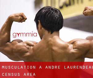 Musculation à André-Laurendeau (census area)