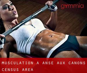 Musculation à Anse-aux-Canons (census area)