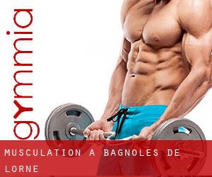 Musculation à Bagnoles-de-l'Orne